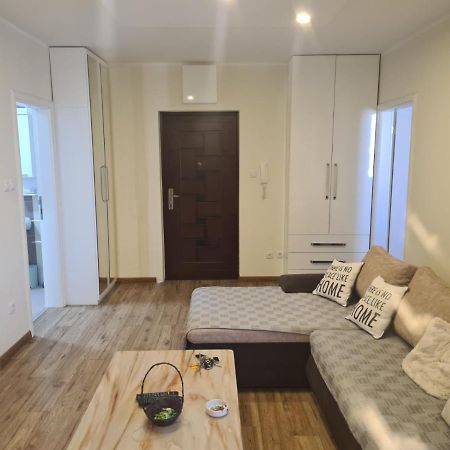 Casa Mia Daire Novi Sad Dış mekan fotoğraf